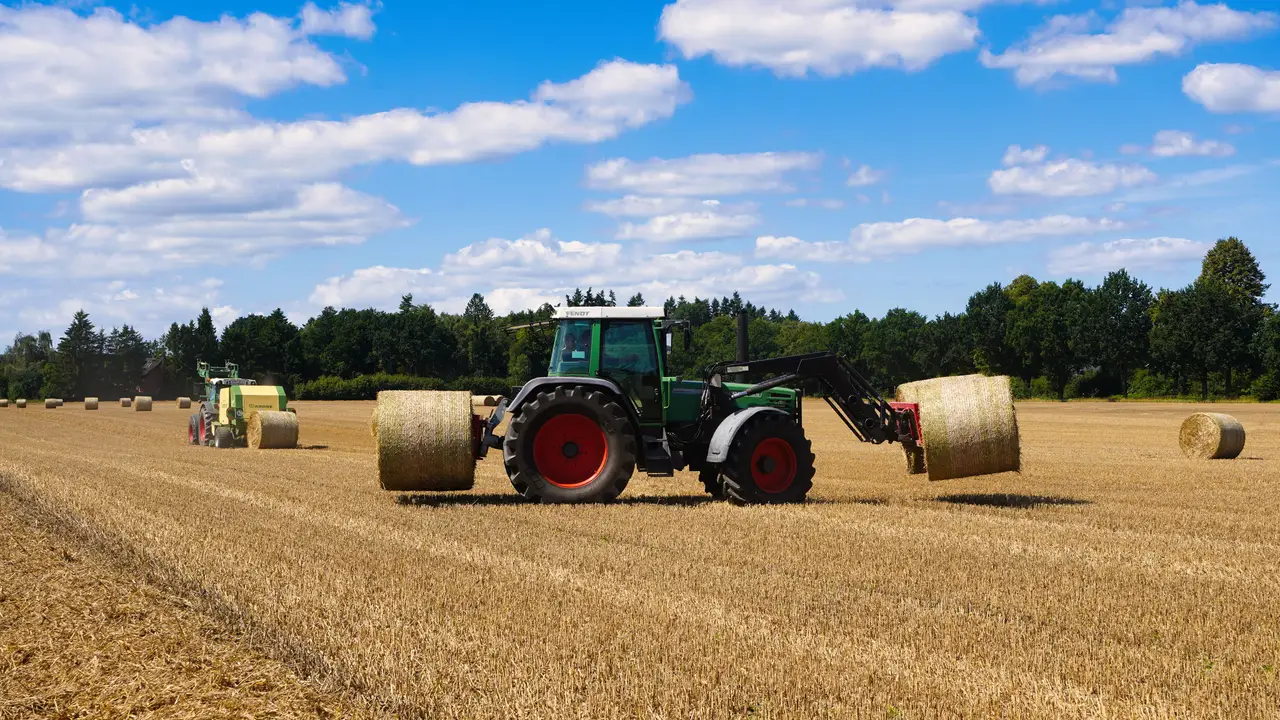 Tractor working among hay bales in a field